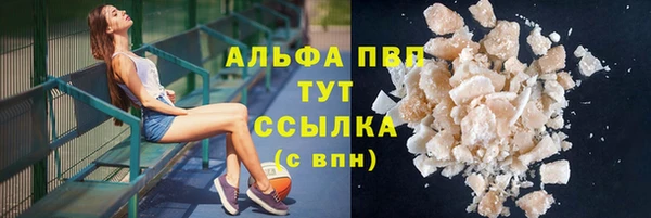 шишки Баксан