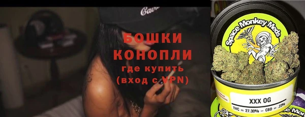 шишки Баксан