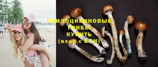 шишки Баксан