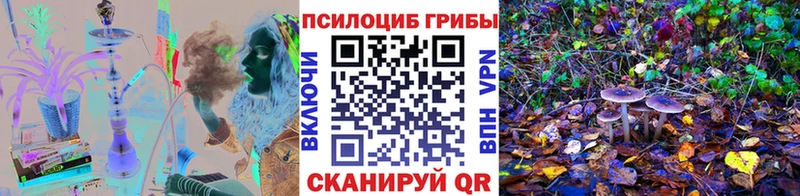 блэк спрут как зайти Власиха Галлюциногенные грибы мицелий